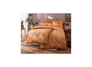 8961103043559 - Bettwäsche WÄSCHEPUR WITT-PBK-Bettwäsche-temporär Gr B L 155 cm x 220 cm 2 tlg Feinbiber B L 80 cm x 80 cm bunt (apricot rotbraun bedruckt) Biber-Bettwäsche