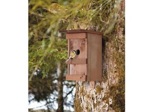 9003117069251 - - Vogelhaus aus lackiertem Massivholz