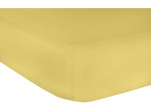 9005319041301 - Spannbettlaken MR SANDMAN Jersey Classic Laken Gr B L 180-200 cm x 200 cm 1 St Single-Jersey 180-200 x 200 cm 25 cm goldfarben aus 100% Baumwolle