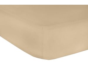 9005319152786 - Spannbettlaken MR SANDMAN Full Elastan de Luxe Laken Gr B L 90-100 cm x 200-220 cm 1 St Jersey-Elasthan 40 cm 90-100 x 200-220 cm braun (cappuccino) Spannbettlaken extrem dehnfähig für hohe Matratzen