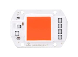 9006782249690 - Memkey - Fdit led cob Lampe Licht ac 220V Lichtquelle für diy led Strahler Flutlicht Energiesparlampe 50W (Orange)