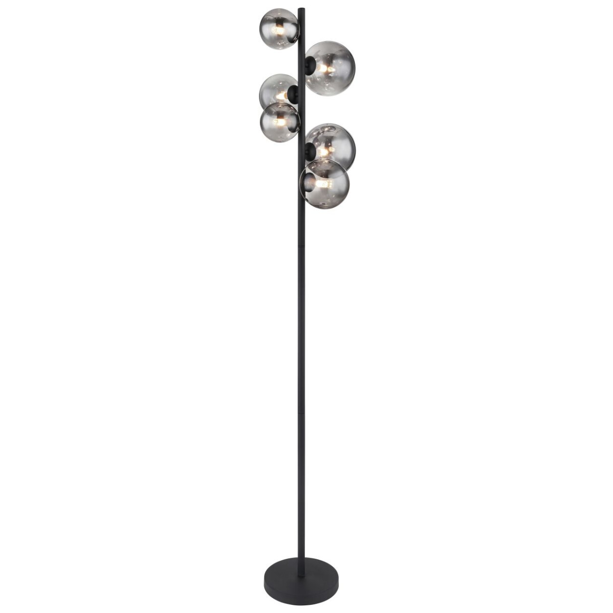 9007371417889 - Stehleuchte Riha schwarz 155 x 285 cm 6 x G9 led 3 w Stehleuchte - Globo