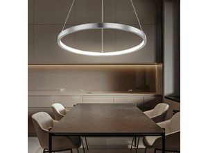 9007371461356 - Hängeleuchte led Lampen Ring silber rund Pendelleuchte Wohnzimmer hängend Modern aus Metall in Nickel-Matt Opal 1x led 19W 900Lm warmweiß TxH