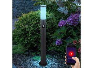 9007371463374 - Gartenlampe mit Bewegungsmelder anthrazit Smart led Gartenstehlampe Edelstahl Wegeleuchte Garten rgb Farbwechsel dimmbar App 1x 10W h 80 cm