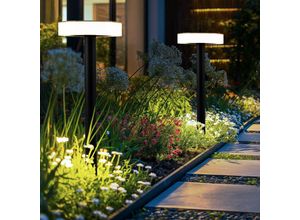 9007371508778 - Wegleuchte Garten außen Außenleuchte Stecklampe Erdspieß Solarleuchte Akku Kunststoff schwarz opal 1x LED DxH 153x561 cm 2er Set