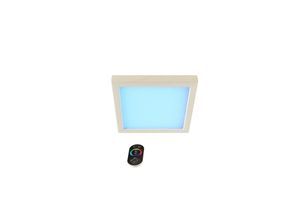 9008504005386 - Led Farblicht Sion 2B Erle versenkbar - eek g - S2292B dimmbar Saunaleuchte - Infraworld