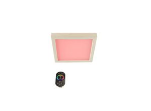 9008504005393 - Led Farblicht Sion 1A Erle Deckenmontage - eek g - S2291a Decken led Saunaleuchte - Infraworld