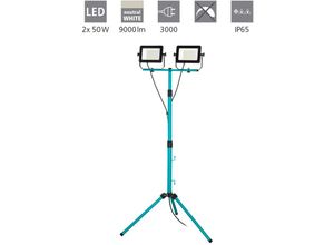 9008606258505 - Eglo - Baustrahler led mit Stativ Arbeitsleuchte höhenverstellbar aus Aluminium und Kunststoff Arbeitsscheinwerfer 2-fach in türkis und schwarz