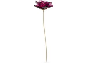 9009655578002 - Dekoobjekt Kristallfigur Blume Garden Tales Rose 5557800 (1 St) Swarovski® Kristall goldfarben|rot