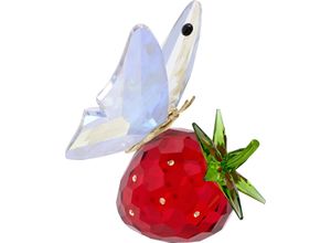 9009656668467 - Dekofigur SWAROVSKI Kristallfigur Sammelfigur Idyllia Schmetterling und Erdbeere 5666846 Dekofiguren Gr B H 3 cm x 51 cm Schmetterling und Erdbeere bunt (rot grün goldfarben kristallweiß schwarz) Weihnachtsengel Weihnachtsfiguren Kristall