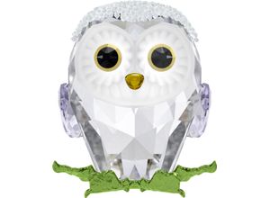 9009656844830 - Tierfigur SWAROVSKI Dekofigur Kristallfigur Sammelfigur Idyllia Baby Eule 5684483 kristallweiß grün weiß schwarz braun Dekofiguren B H T 369cm x 447cm x 366cm Baby Eule Kristall Metall Kristall B369cm H447cm T366cm