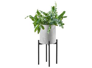 9009852746846 - Pflanzentopf  Schwarz Grau  Stein Metall  zylindrisch  365 cm  Dekoration Blumen & Zubehör Übertöpfe