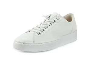 9010095584065 - Sneaker weiss 43