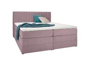 9010585213529 - Boxspringbett Simon in Flieder ca 180x200cm