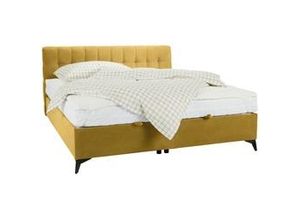 9010585432364 - Boxbett in Gelb ca 160x200cm 9010585432364 - Boxbett in Gelb ca 160x200cm