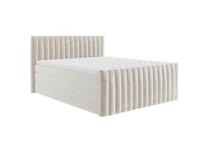 9010585521303 - Boxspringbett Simon in Beige ca 180x200cm