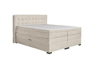 9010585526452 - Boxspringbett Madeira in Creme ca 160x200cm 9010585526452 - Boxspringbett Madeira in Creme ca 160x200cm