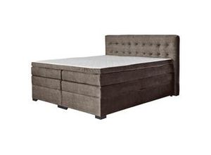 9010585526483 - Boxspringbett Madeira in Braun ca 160x200cm