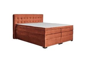 9010585569015 - Boxspringbett Madeira in Koralle ca 160x200cm