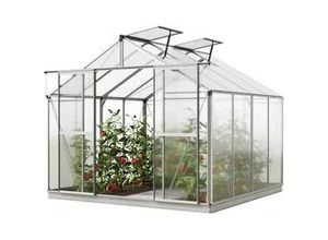9010833031325 - GFP Standard 256 x 256 cm Gewächshaus inkl Aktionsset - XL | 6 mm - (GFPV00741) 9010833031325 - GFP Standard 256 x 256 cm Gewächshaus inkl Aktionsset - XL | 6 mm - (GFPV00741)