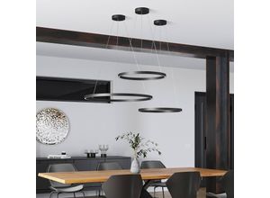 9010870313996 - Molto Luce LED-Hängelampe Perfora schwarz Ø 60 cm Alu