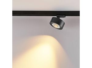 9010870561380 - Molto Luce LED-3-Phasen-Schienenstrahler Mag  schwarz 830