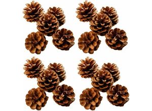 9078382055766 - Minkurow - 60 Natürliche Tannenzapfen 3 cm bis 6 cm Natürliche Weihnachtstannenzapfen Weihnachtsbaum Hängende Dekoration Weihnachtstannenzapfen