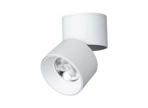 9078382078932 - LED-Aufbau-Downlight-Deckenleuchte faltbarer 360-Grad-drehbarer Kronleuchter-Spotlight-Hintergrund-Deckenleuchte-Lampe Weiß 6000k 10W - Minkurow