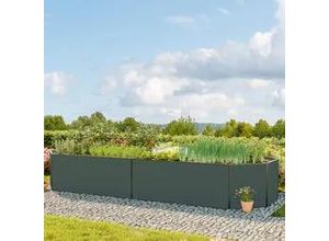 9120079967903 - GFP Hobby 299 x 119 x 77 cm Hochbeet Anthrazit - (GFPV00609)