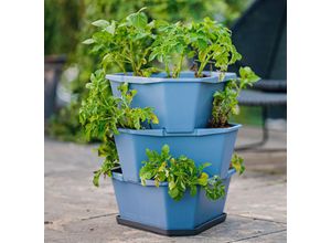 9120085881910 - PAUL POTATO Starter 3 Etagen inkl Untersetzer blau