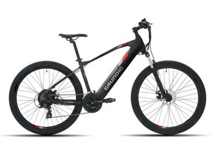 9120104668553 - GRUNDIG Fahrrad E-Mountainbike HT 275 schwarz  rot