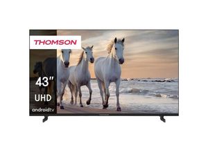 9120106661460 - 43UA5S13 LED-TV 109 cm 43 Zoll EEK F (A - G) DVB-C DVB-S DVB-S2 DVB-T DVB-T2 UHD WLAN Smart TV CI+ Schwarz