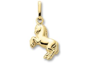 9145546194507 - Ketten-Anhänger Pferd Anhänger aus 333 Gelbgold Schmuckanhänger Gr Damen Pferd Gelbgold 333 goldfarben (gold) Mädchen Damen Gold Schmuck Pferd