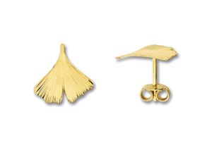 9145546197775 - Paar Ohrstecker Ginkgoblatt Ohrringe aus 333 Gelbgold Gr Damen Gelbgold 333 goldfarben (gold) Damen Ohrstecker Gold Schmuck Ginkgoblatt