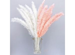 9328867118258 - 30 Stück 40 cm getrocknetes künstliches Pampasgras – Bohemian-Stil – Heimdekoration – Phragmites – Trockenblumen – für Vasen weißer Blumenstrauß –