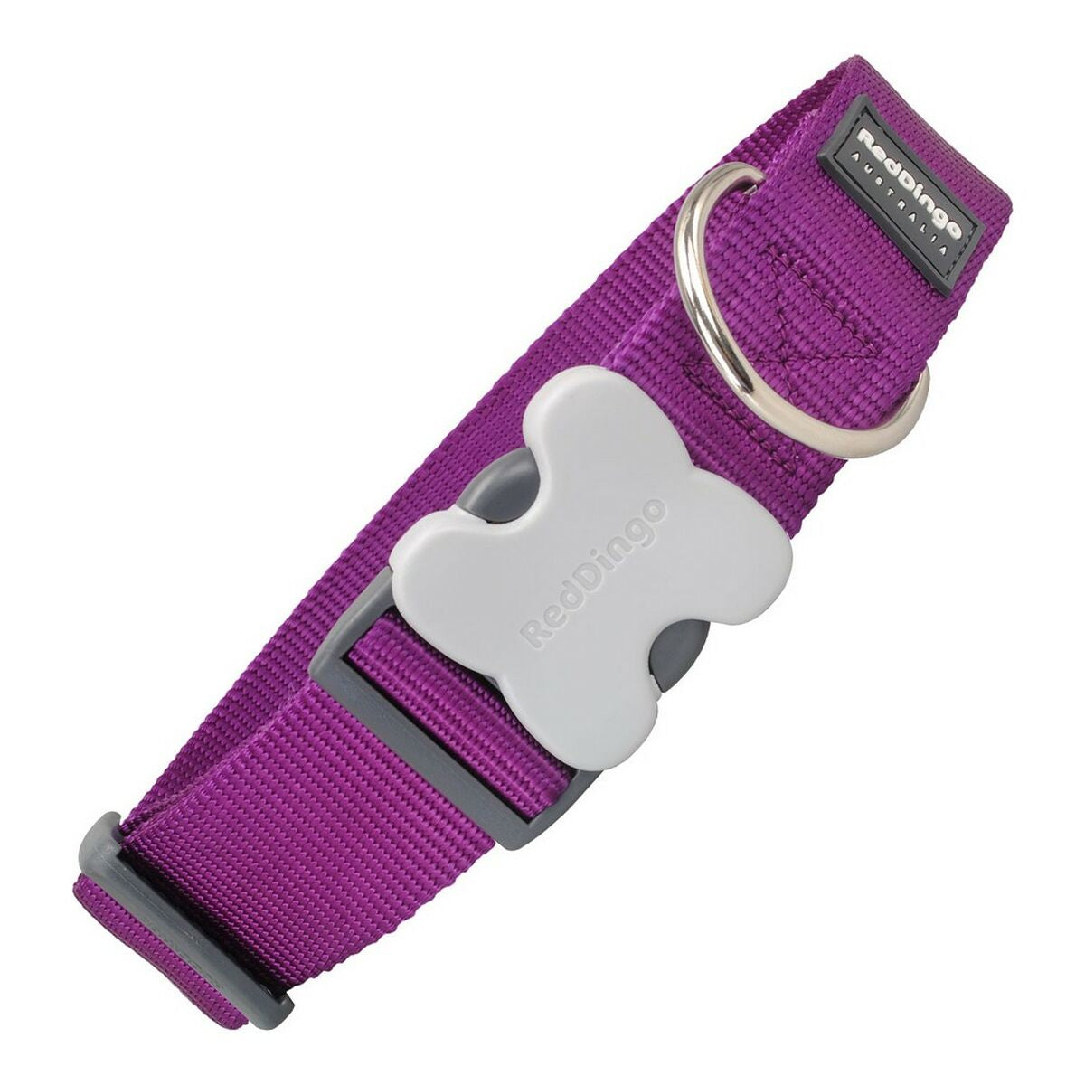 9330725042049 - Hundehalsband Breite 50-80 cm Lila 9330725042049 - Hundehalsband Breite 50-80 cm Lila