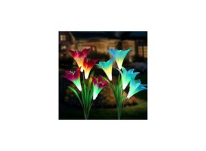 9420541002638 - Eting - Solar-Gartenleuchten im Freien 8 Lily Flower Multicolor Change led Solar-Pfahllichter Garten Terrasse Garten (Blau & Violett)