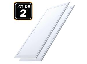 9501286989139 - Europalamp - 2 Dalles led 1200x300 40W Blanc Neutre 4000k Haute Luminosité - Plusieurs modèles disponibles