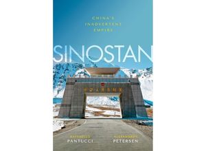 9780198857969 - Sinostan - Raffaello Pantucci Alexandros Petersen Gebunden