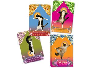 9780307395429 - Cat Yoga Postcards