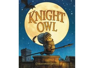 9780316310628 - Denise Christopher Knight Owl (Caldecott Honor Book)