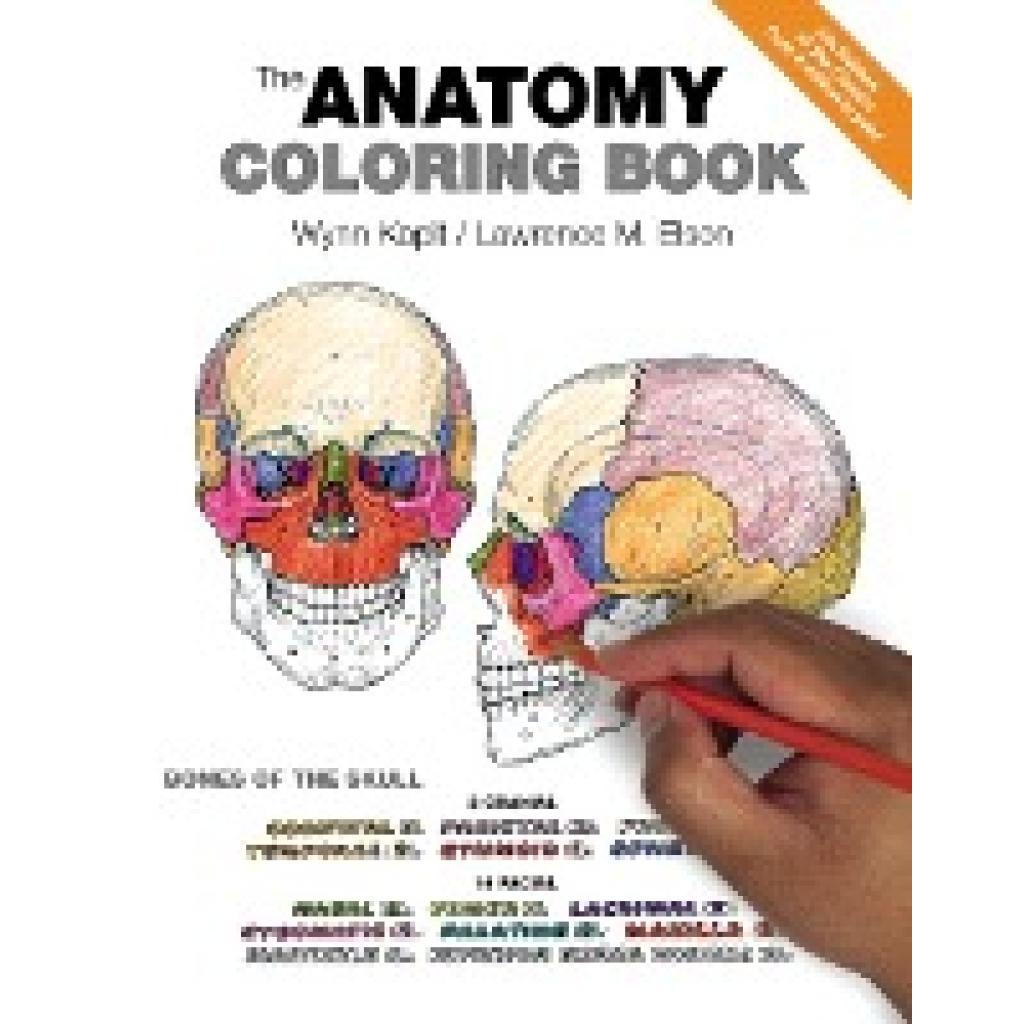 9780321832016 - Kapit Wynn Anatomy Coloring Book The