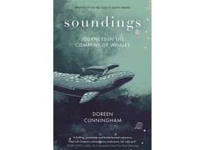 9780349014951 - Soundings - Doreen Cunningham Gebunden