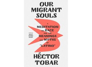 9780374609900 - Our Migrant Souls - Héctor Tobar Gebunden