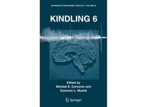 9780387243801 - Kindling 6Pt6 Gebunden