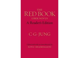 9780393089080 - The Red Book - Carl G Jung Gebunden