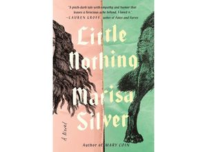 9780399185809 - Little Nothing - Marisa Silver Kartoniert (TB)