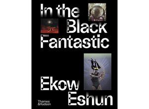 9780500024621 - In the Black Fantastic - Ekow Eshun Gebunden