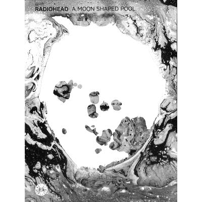 9780571539604 - A moon shaped pool