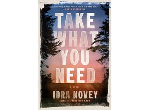 9780593652855 - Take What You Need - Idra Novey Gebunden